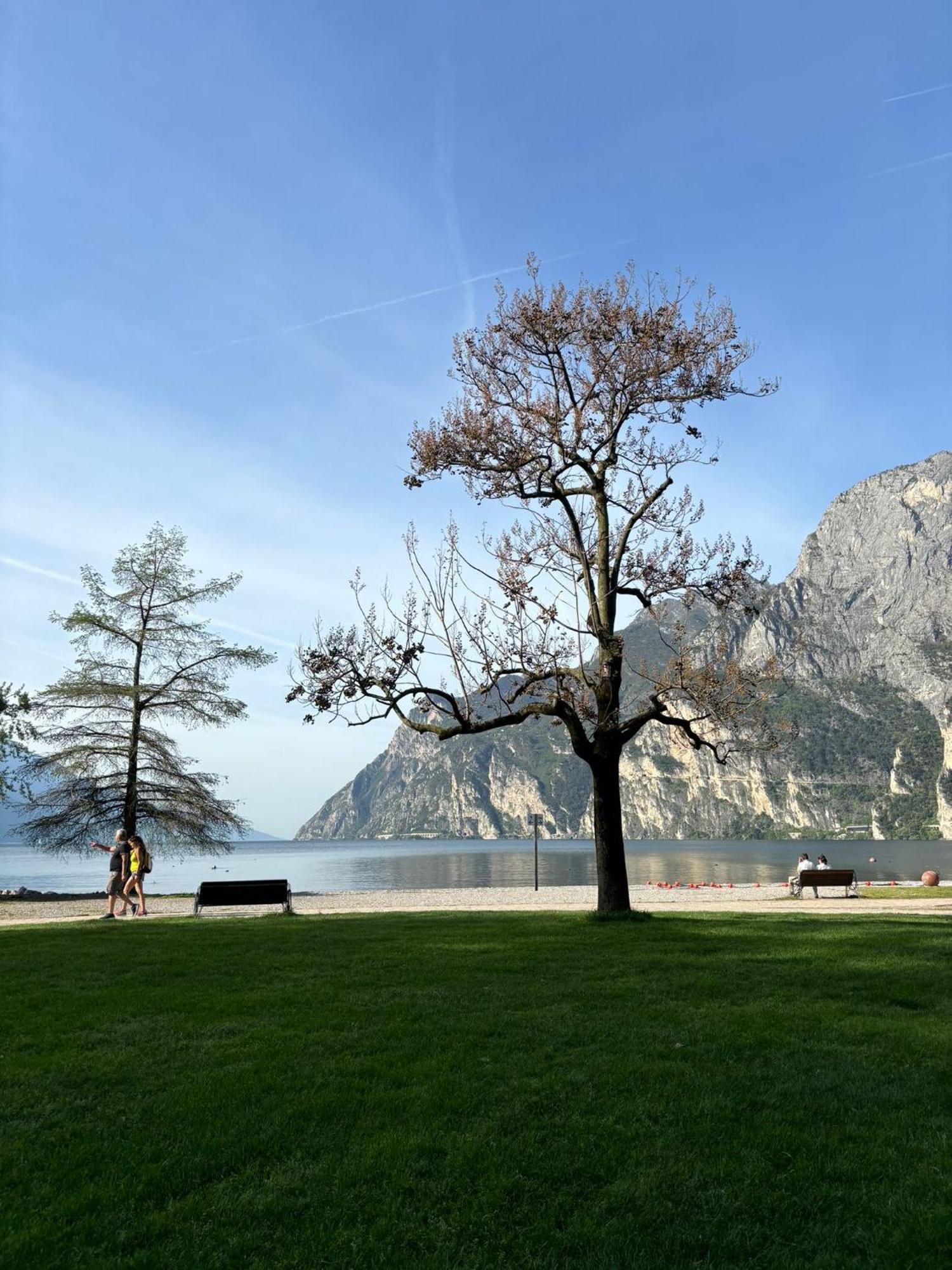 Garden & Pool Perugini Apartment Torbole Sul Garda Exterior photo